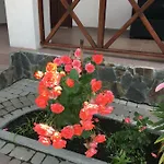 карпатский уикенд Semesterbostad Slavske