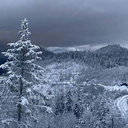 карпатский уикенд Holiday home