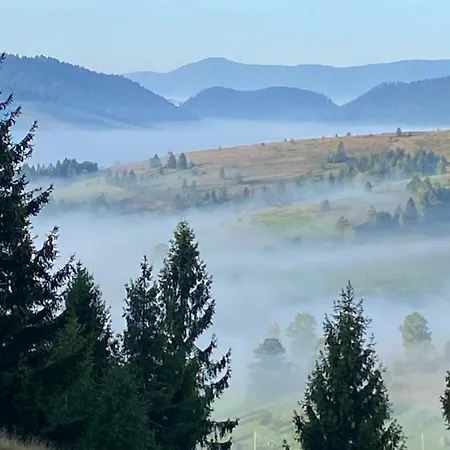 карпатский уикенд