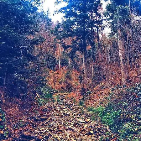 карпатский уикенд *