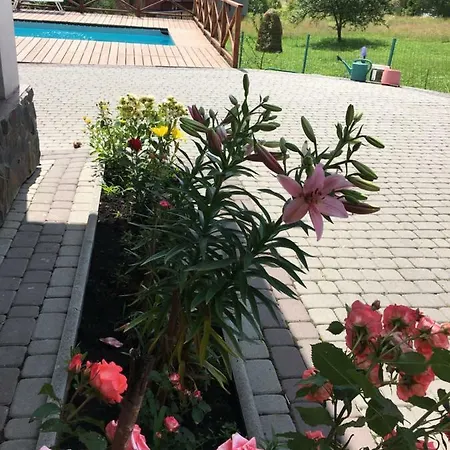 карпатский уикенд *