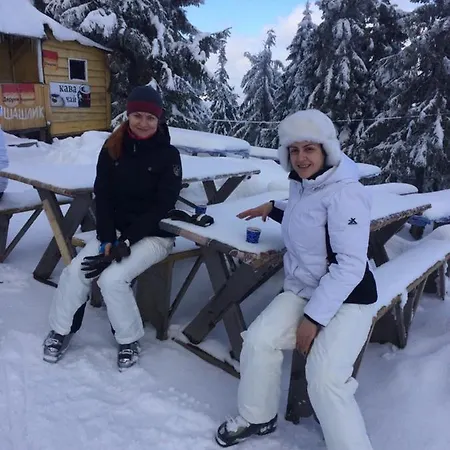 карпатский уикенд *