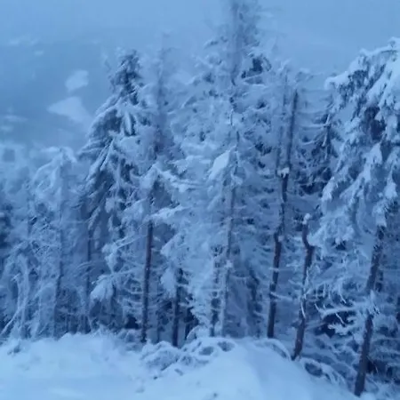 карпатский уикенд Holiday home *