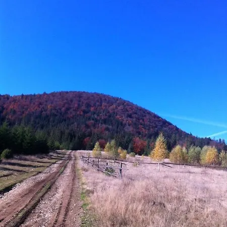 карпатский уикенд