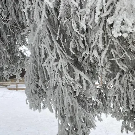 Holiday home карпатский уикенд *