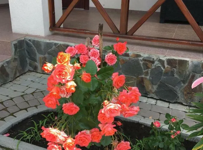 карпатский уикенд Tatil Evi Slavske