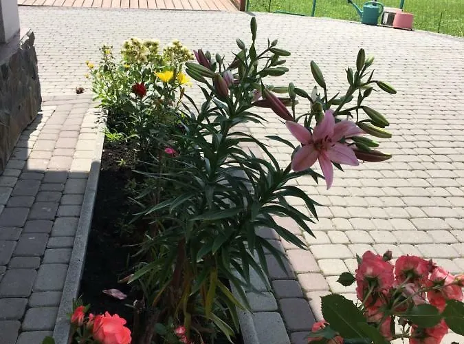 карпатский уикенд *