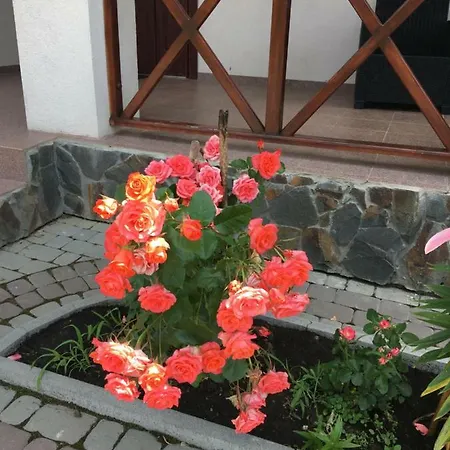 карпатский уикенд Tatil Evi Slavske