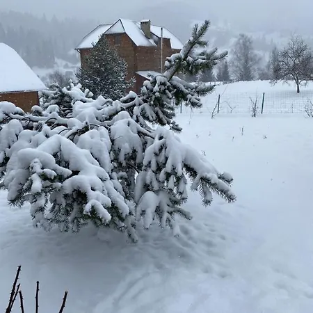 Tatil Evi карпатский уикенд Slavske
